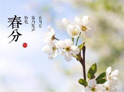 春分——陌上花正艳，春色入中分